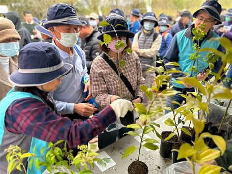 會 增值的 樹|臺灣原生樹木推廣及媒合平臺